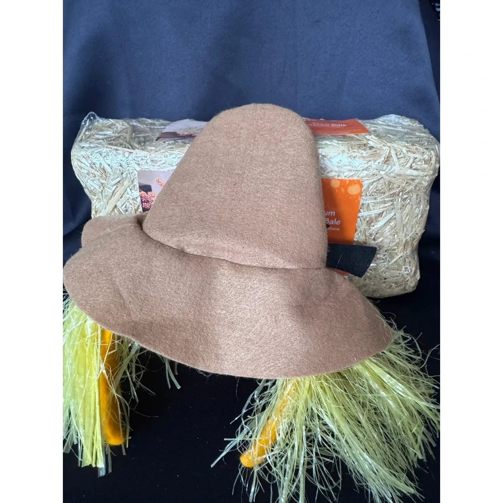 N/A scarecrow halloween